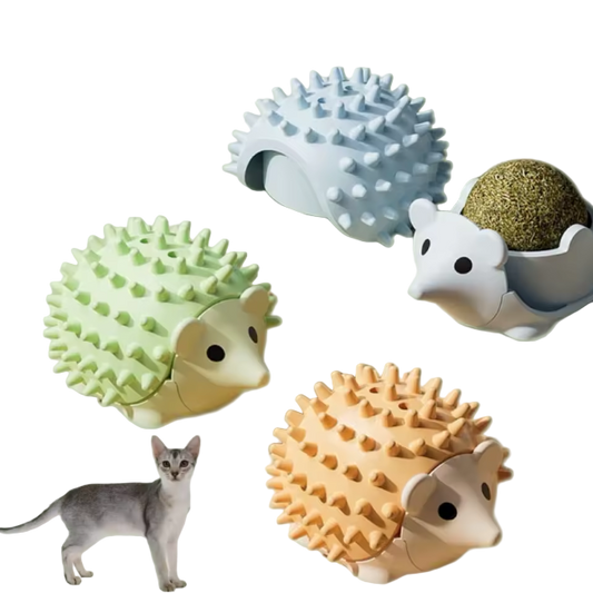 Blue, green, and orange hedgehog catnip toys shown on display