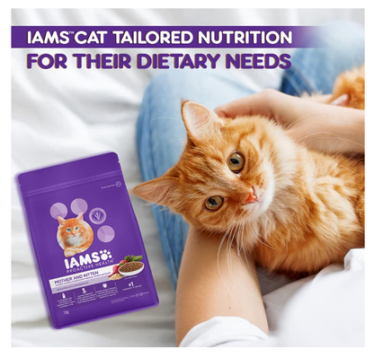IAMS Proactive Health Mother & Kitten Cat Food |Chicken