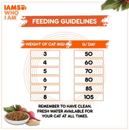 Feeding guidelines for IAMS Healthy Adult Tuna & Salmon cat food
