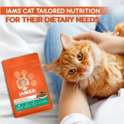 IAMS Proactive Health Healthy Adult Cat Food | Chicken & Salmon