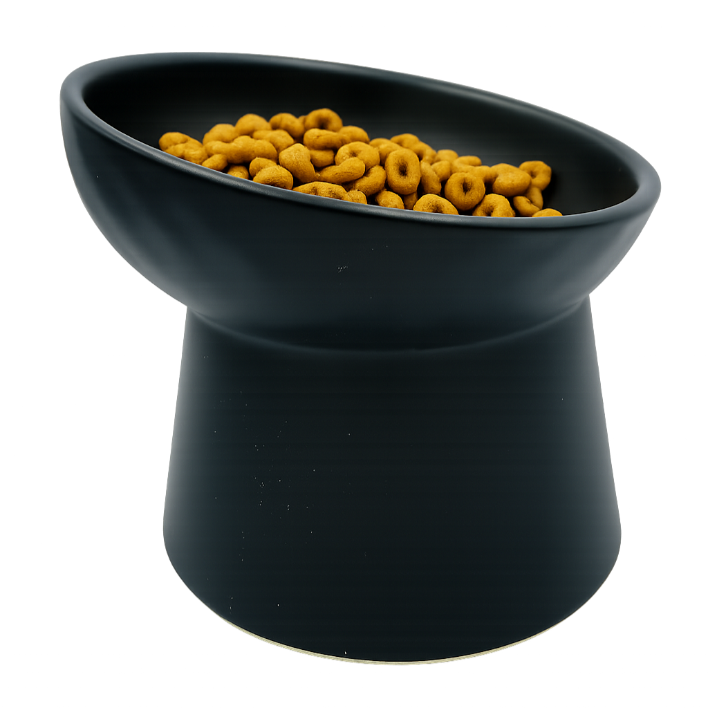 elevated ceramic pet bowl with slanted design for cats