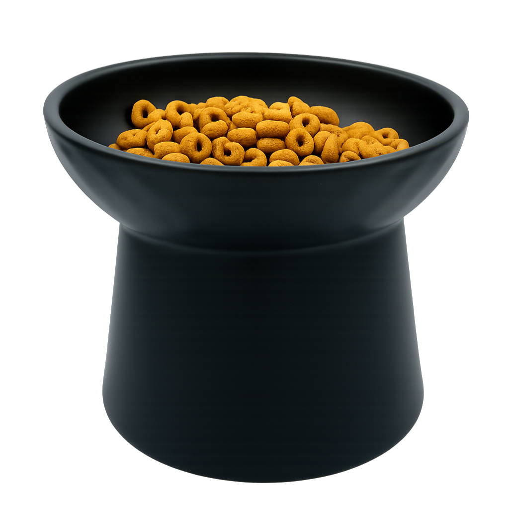 elevated ceramic pet bowl with slanted design for cats