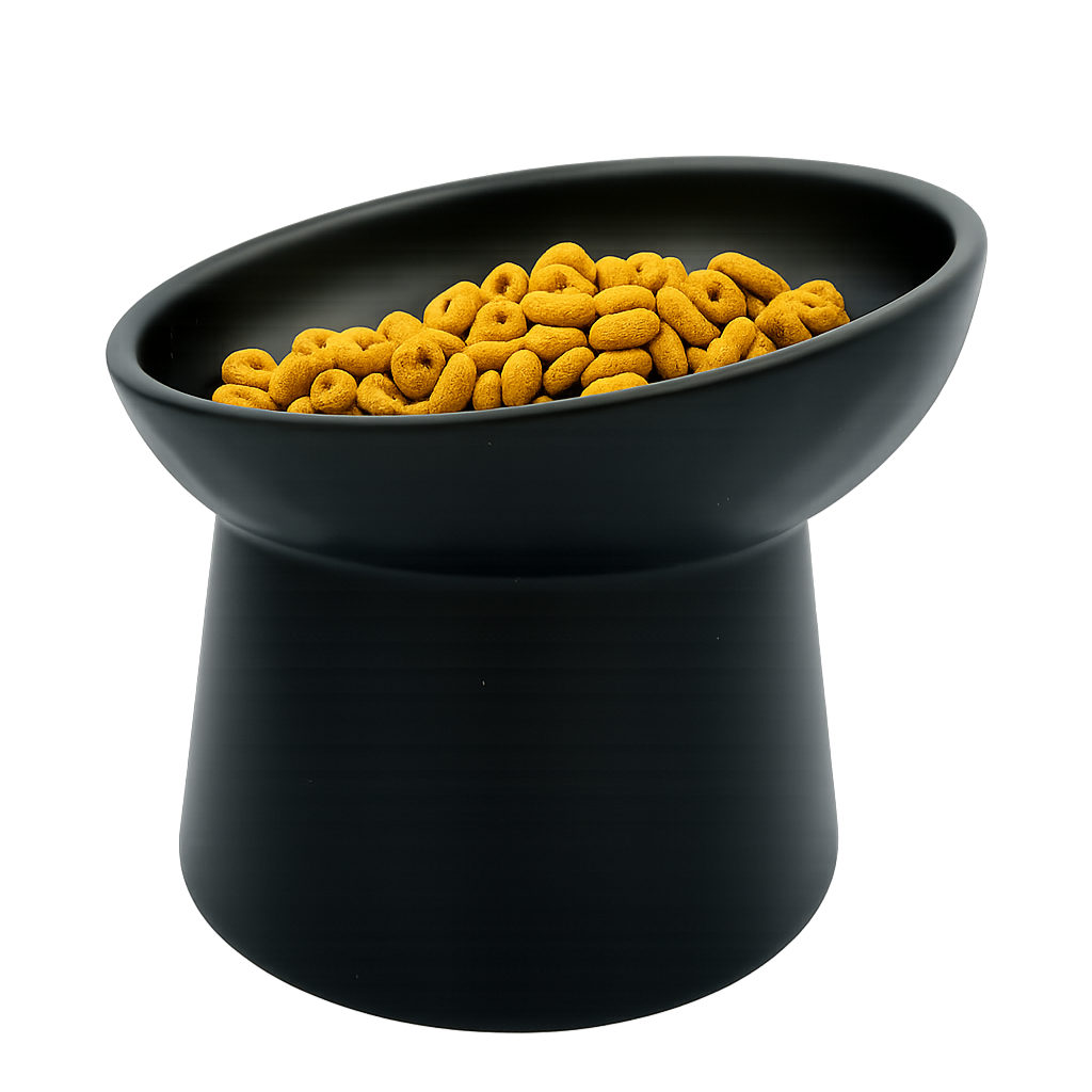 elevated ceramic pet bowl with slanted design for cats