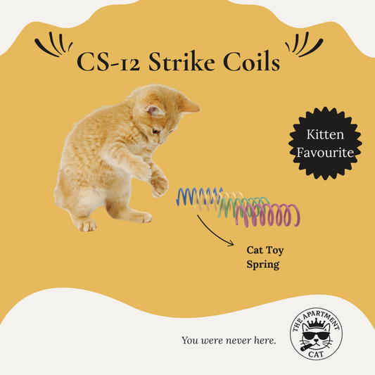 Kitten playing with a cat toy spring - CS-12 Strike Coils from The Apartment Cat.