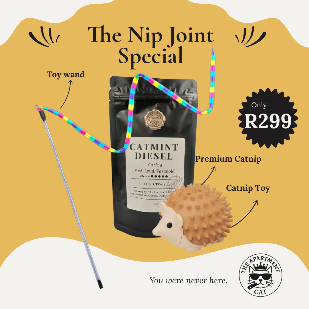 Catnip toy bundle with premium catnip, hedgehog toy, and rainbow wand from The Apartment Cat.