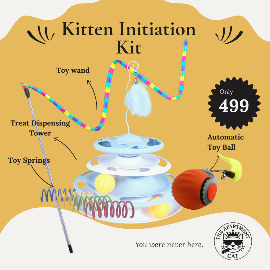 Kitten toy bundle with tower, auto ball, teaser wand, and toy springs from The Apartment Cat.